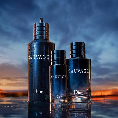 dior männer edt|dior sauvage biggest bottle.